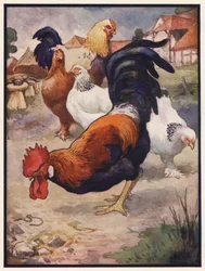 Le coq et le bijou