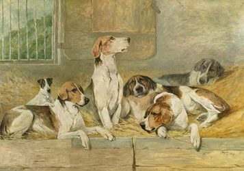 Chiens