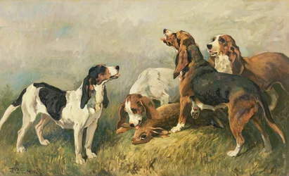 Chiens avec un lièvre