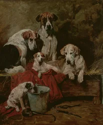 Compagnons de chenil