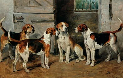 Étude de chiens