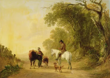 Le vieux squire