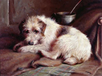 En attendant le maître