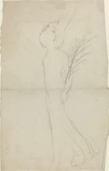 Femme marchant avec un palmier