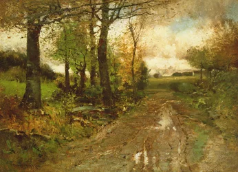 Route à travers les bois