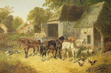 Chevaux attelés