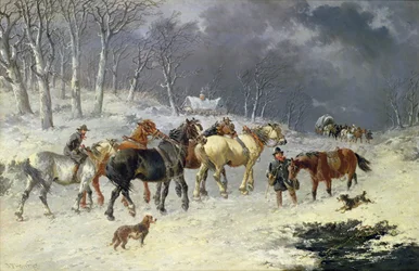 Chevaux dans la neige