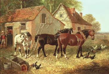 Préparation des chevaux de labour