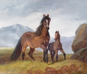 Une jument et un poulain gallois, 1854