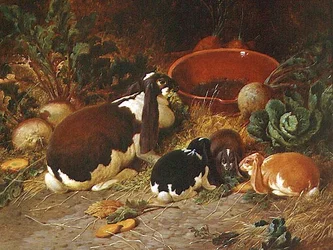 Lapins de fantaisie, une biche avec ses petits