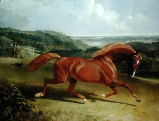 Cheval au galop dans un paysage