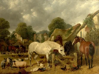 Chevaux dans un enclos