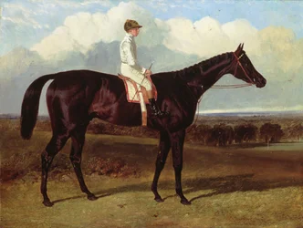 Jonathan Wild un cheval de course bai foncé, à Goodwood, T. Ryder en selle, 1846