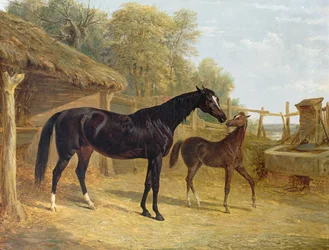 Levity, propriété de J. C. Cockerill Esq., avec son poulain Queen Elizabeth, propriété de Lord Dorchester, 1843