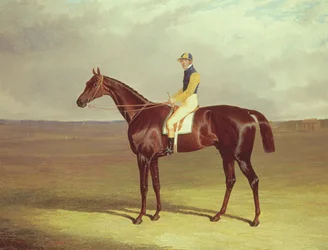 La Canne de M. M. Stanley sur Newmarket Heath, 1833
