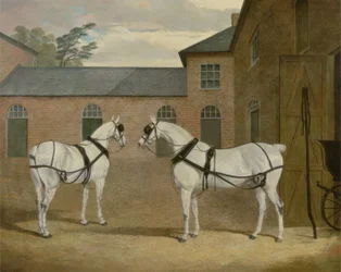 Les Chevaux Gris de M. Sowerby dans sa Cour de Carrosses à Putteridge Bury, Hertfordshire, 1836