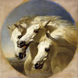 Les chevaux du pharaon, 1848