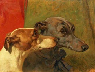 Les lévriers 