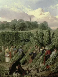 Les cueilleurs de houblon