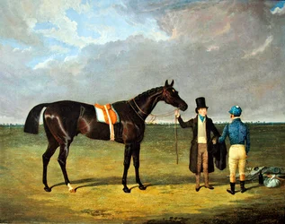 Le sellier