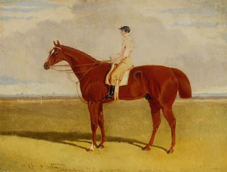 Plénipotentiaire avec P. Conolly à six mile bottom, Newmarket