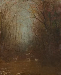 Intérieur de la forêt avec cours d