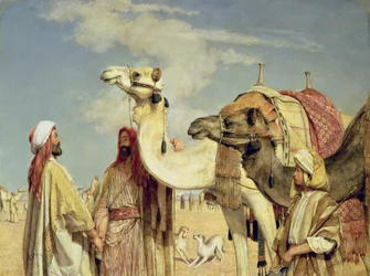 Salutations dans le Désert, Égypte
