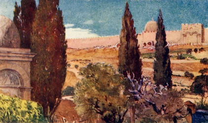 Les cyprès du jardin de Gethsémani, 1902