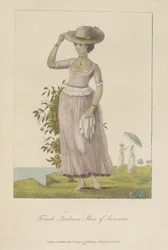 Femme esclave quadroon du Surinam