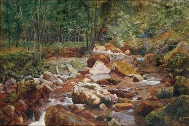 Un ruisseau rocheux surplombé d