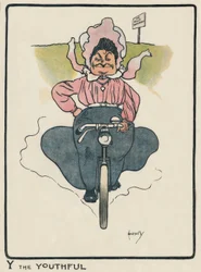Y the Youthful / J. Hassall / Dessin, 1903