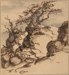 Une berge rocheuse