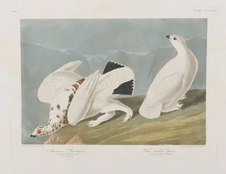 Illustration de 