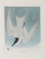 Illustration de 