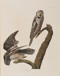 Illustration de 