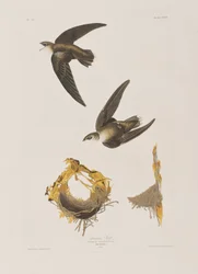 Illustration de 