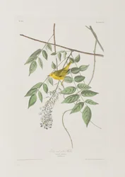 Illustration de 