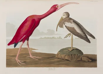 Illustration de 