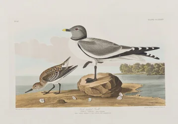 Illustration de 