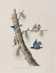 Illustration de 