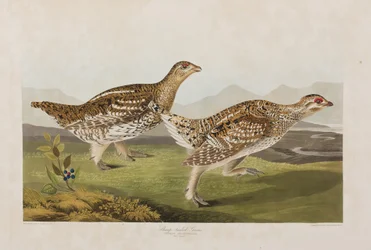 Illustration de 