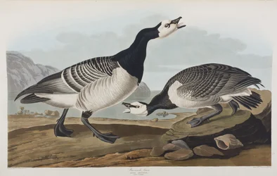 Illustration de 