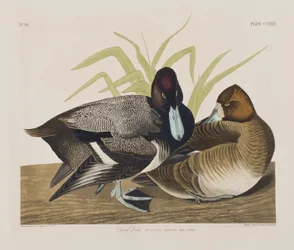 Illustration de 