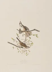 Illustration de 