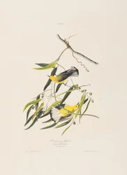 Illustration de 