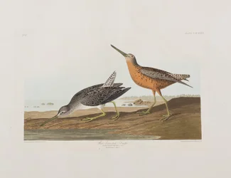 Illustration de 