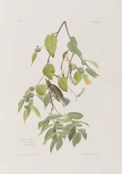 Illustration de 