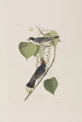 Illustration de 