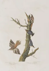 Illustration de 