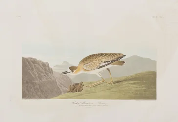 Illustration de 